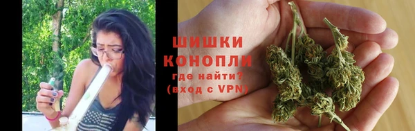 альфа пвп Новодвинск