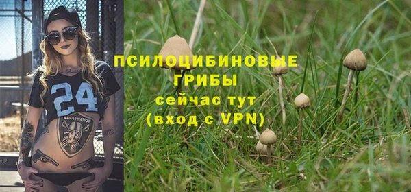 МДМА Новозыбков
