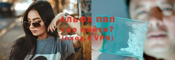 альфа пвп Новодвинск