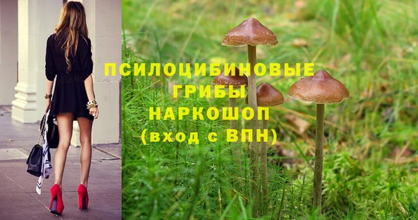 таблы Новокубанск