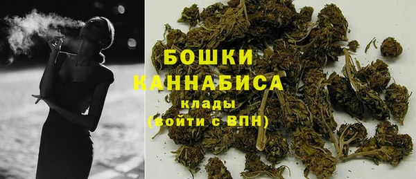 альфа пвп Новодвинск