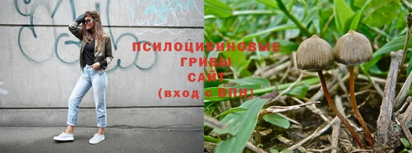 альфа пвп Новодвинск