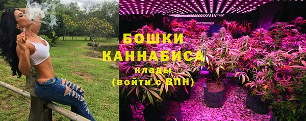 альфа пвп Новодвинск