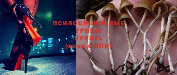 МДМА Новозыбков