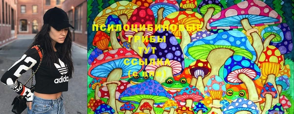 МДМА Новозыбков