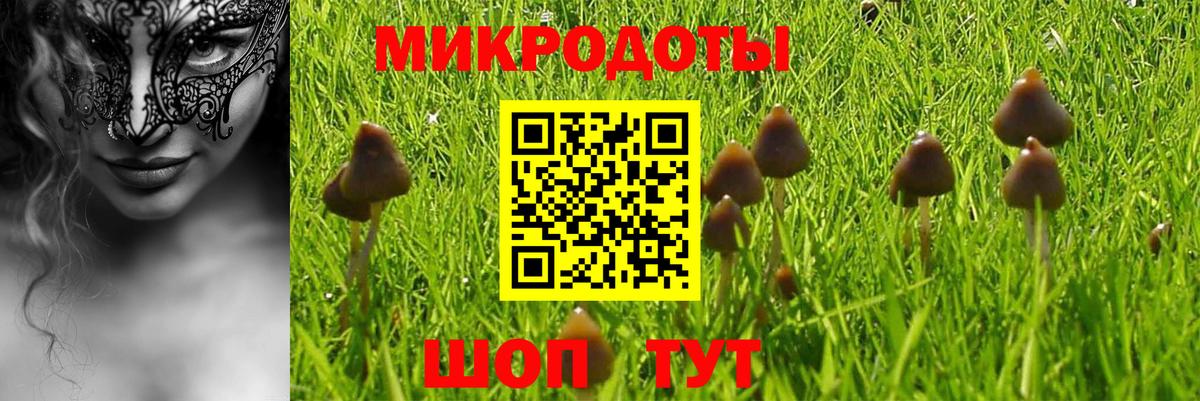 Псилоцибиновые грибы мицелий Каменск-Уральский