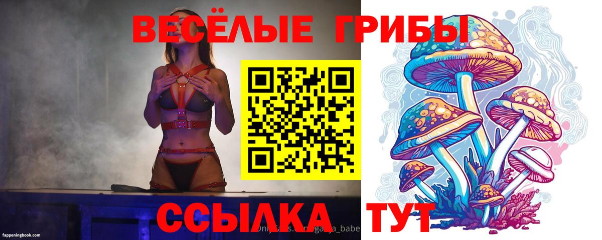 Псилоцибиновые грибы Cubensis Каменск-Уральский