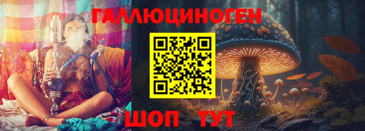 Каменск-Уральский  Галлюциногенные грибы Psilocybe  Псилоцибиновые грибы Psilocybine cubensis  Вход с VPN 